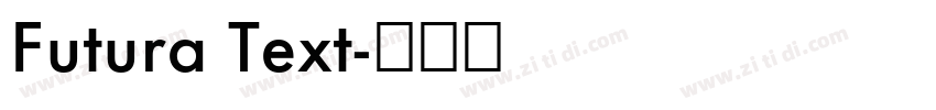 Futura Text字体转换